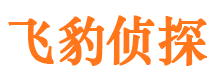 合江外遇调查取证